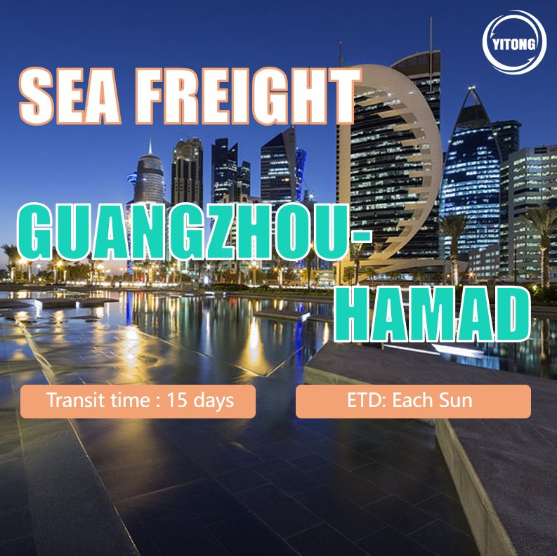 Consolidation Service Shipping Service in China Shipping Agent Sea Freight Freight Forwarding Shipping From Shenzhen to Abu Dhabi
