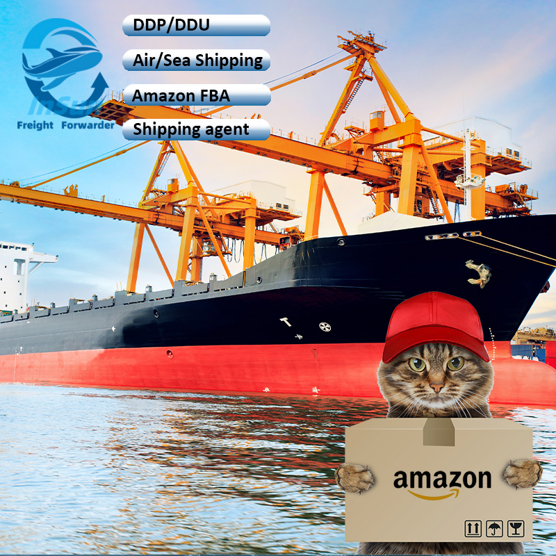 DDP DDU Shipping Consolidation Quality Inspection Goods Express Services Sea Freight to USA Hungary Bulgaria Netherlands Freight Forwarding to Canada