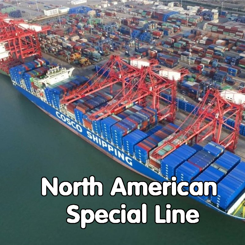 Sea Freight From China to USA/Canada/Mexico Shipping Forwarding Agent DDP