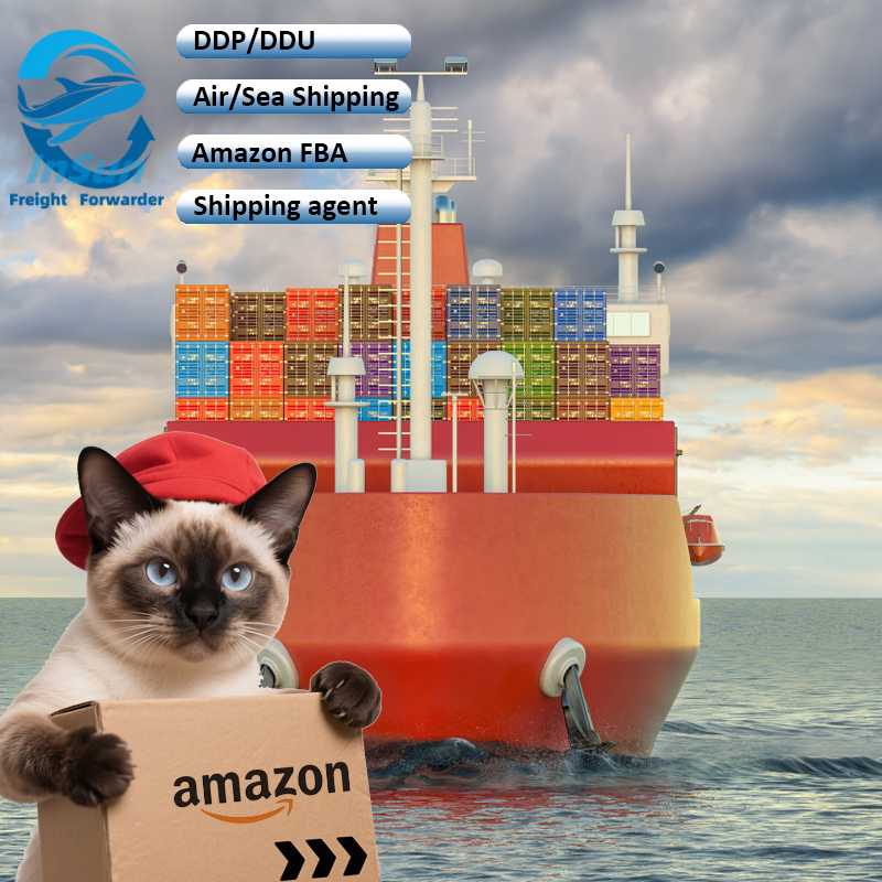 Oversized Cargo Door-to-Door Sea Shipping Service From Shenzhen to Saudi UAE