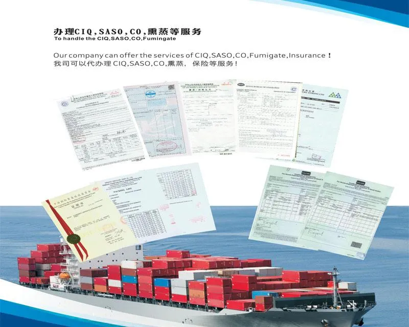 Logistics Shipping Service 6