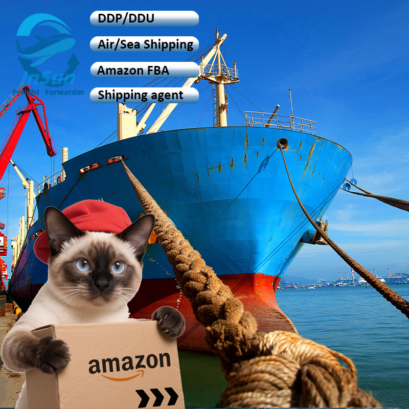 Oversized Cargo Door-to-Door Sea Shipping Service From Shenzhen to Saudi UAE