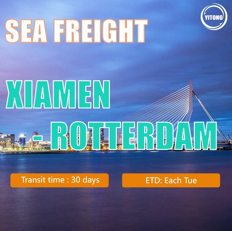 Logistics Agent Freight Forwarder Forwarder Shipping Agent Export Agent Shipping Agent Sea Freight From Shenzhen China to Rotterdam Holland