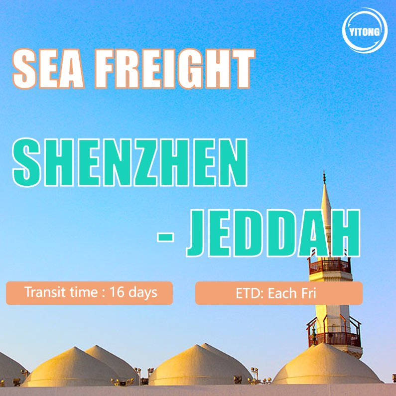 Consolidation Service Shipping Service in China Shipping Agent Sea Freight Freight Forwarding Shipping From Shenzhen to Abu Dhabi