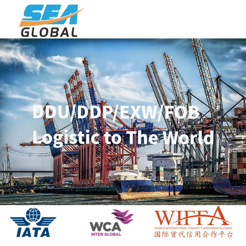 EXW LCL Logistics Forwarder Service to Australia New Zealand UK Ireland USA Canada