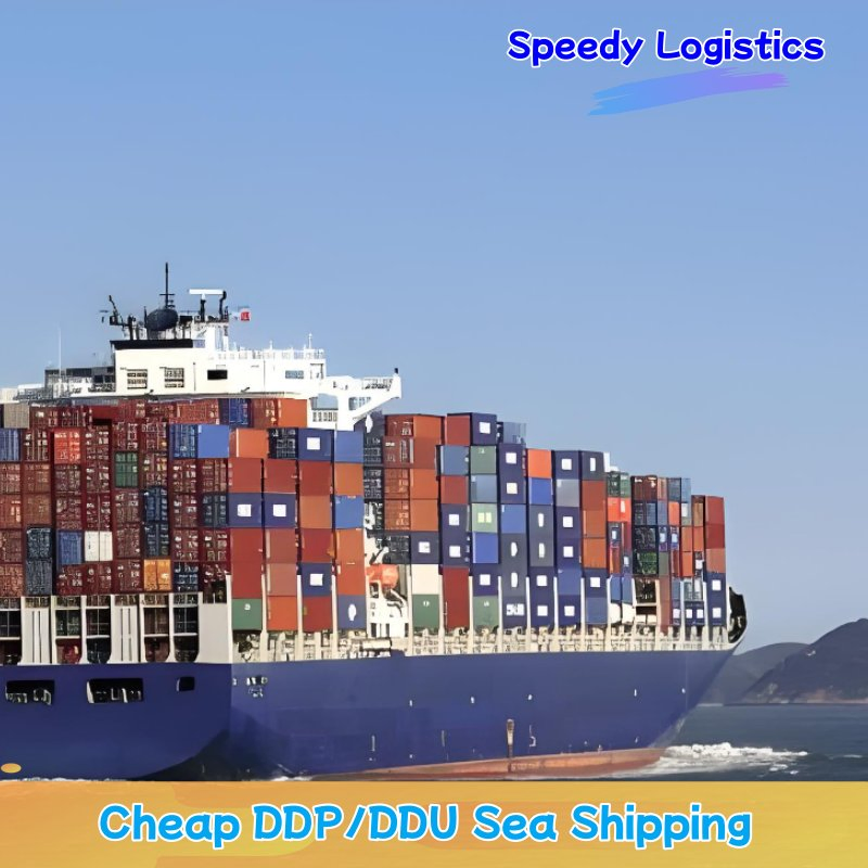 Sea Freight Forwarder to Australia, UK, USA, France, Germany, Qatar, UAE Transportation Shipping Agent Delivery Service