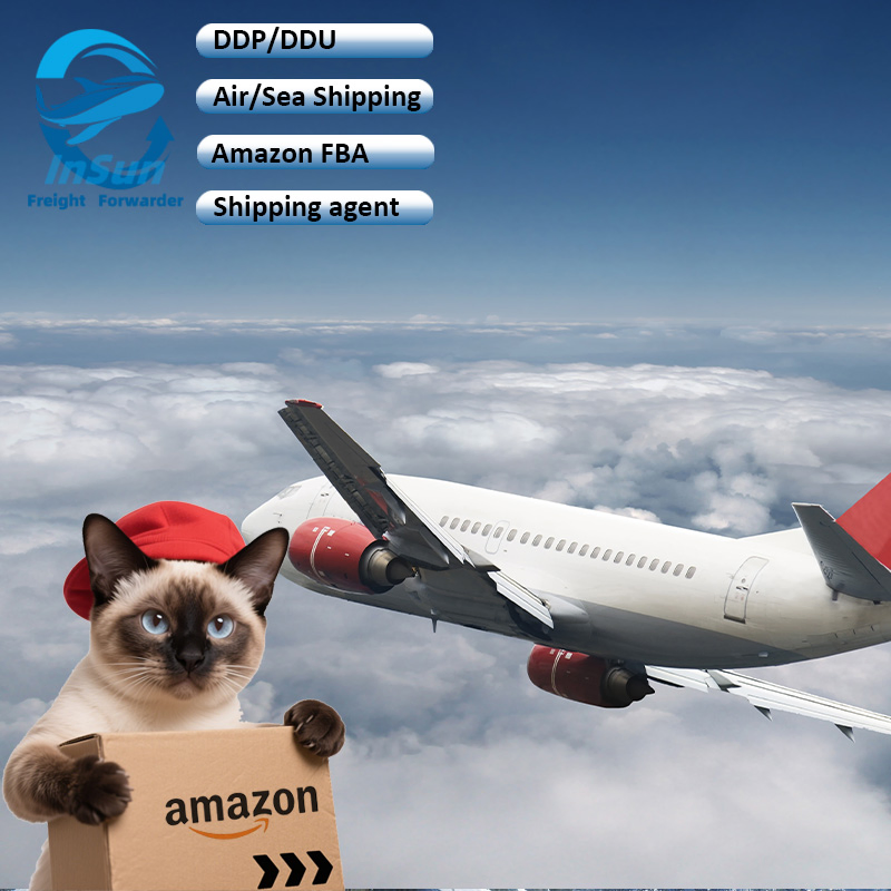 Professional DDP/DDU/CIF/Amazon Sea/Air Shipping Service From China to Saudi Arabia UAE