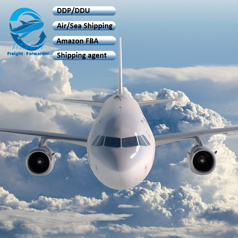 Sea Air Shipping Door to Door Logistic Service China to USA Canada UK France UAE Saudi Arabia Freight Forwarder Shipping Agent