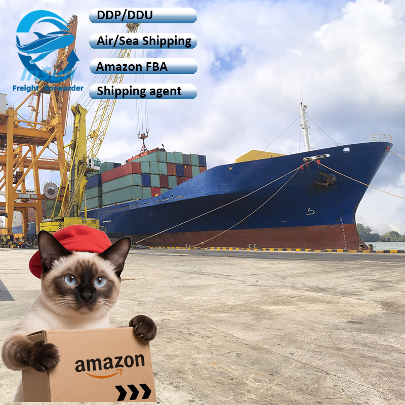 Top 10 International Shipping Company in China Through Air/Sea/Express/Truck Delivery Service to UAE UK USA Europe