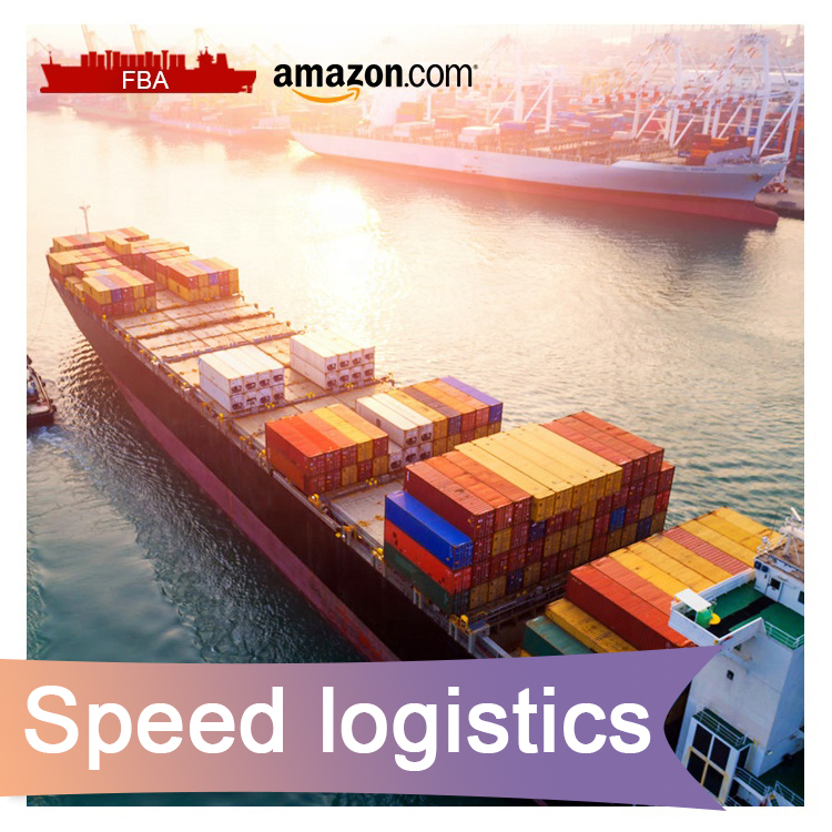 Forwarding Agent Sea Freight Shipping Cost Rates Professional China to Mexico