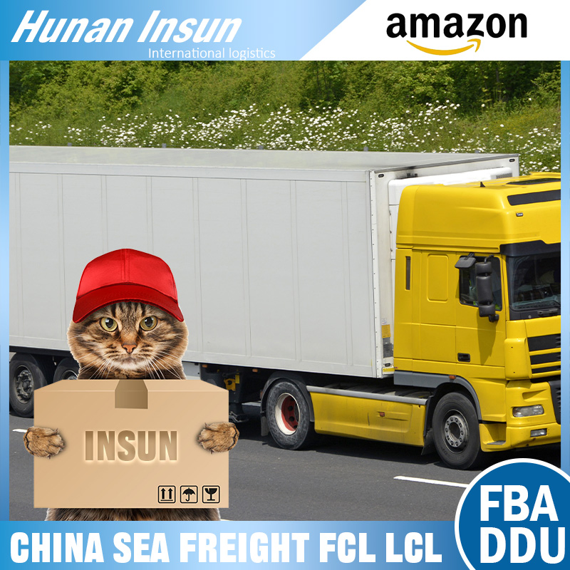 DDP/DDU/CIF Air Freight Express Service From China to Worldwide