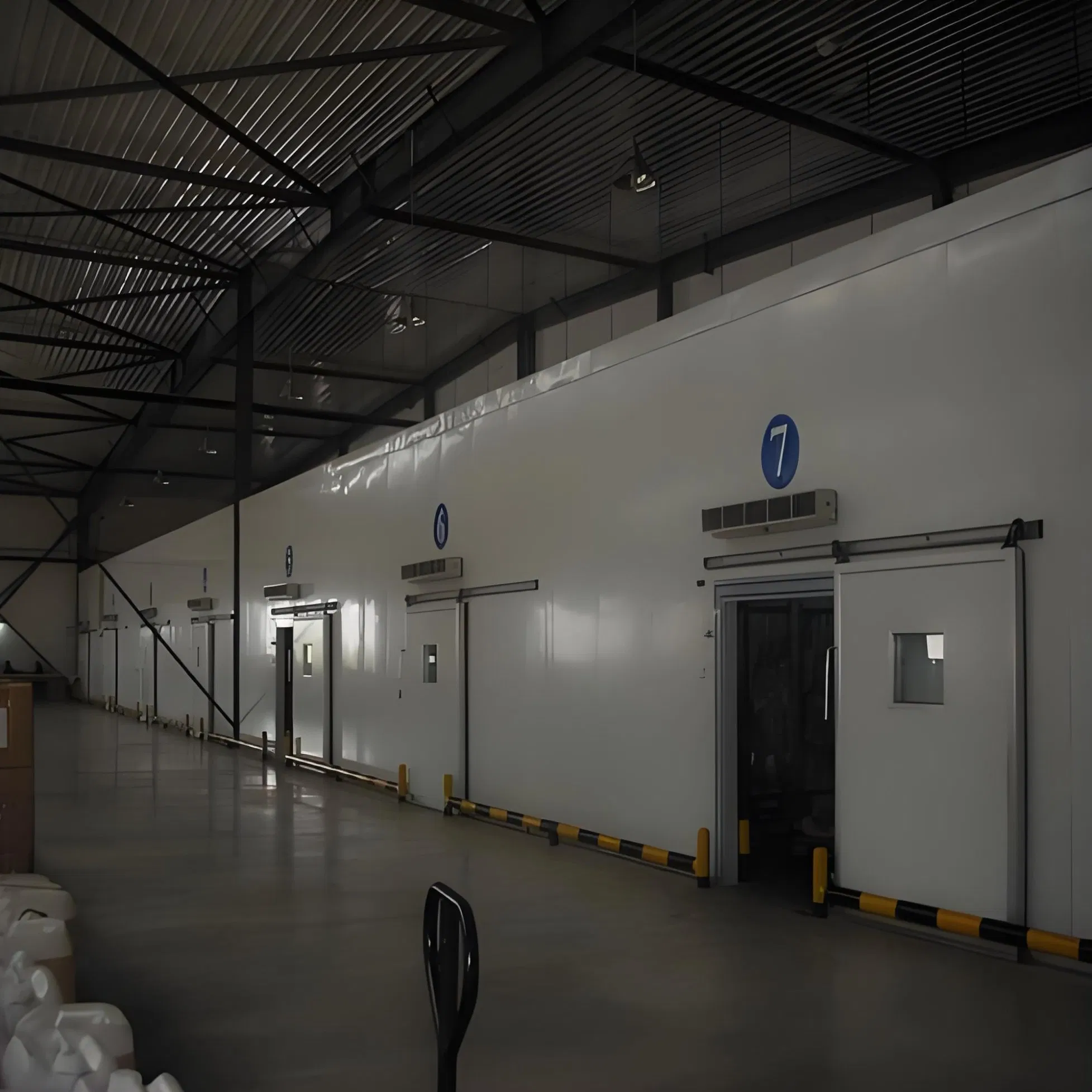 Steel Structure Cold Storage with Top-Quality Insulation for Efficient Usage