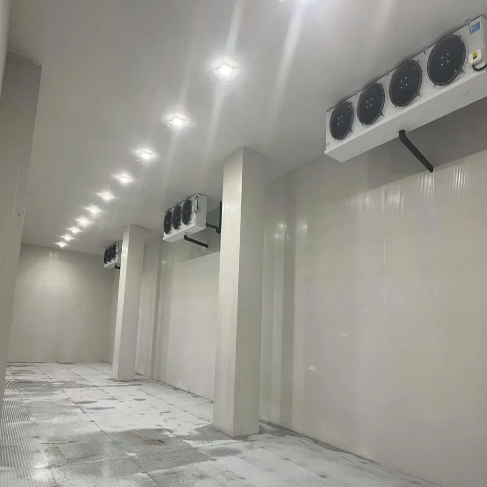 Steel Structure Cold Storage with Top-Quality Insulation for Efficient Usage