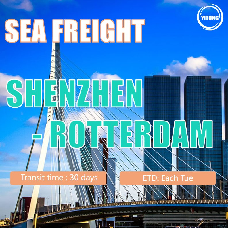 Logistics Agent Freight Forwarder Forwarder Shipping Agent Export Agent Shipping Agent Sea Freight From Shenzhen China to Rotterdam Holland