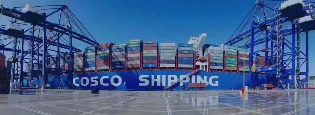 Sea Shipping Logistics Service
