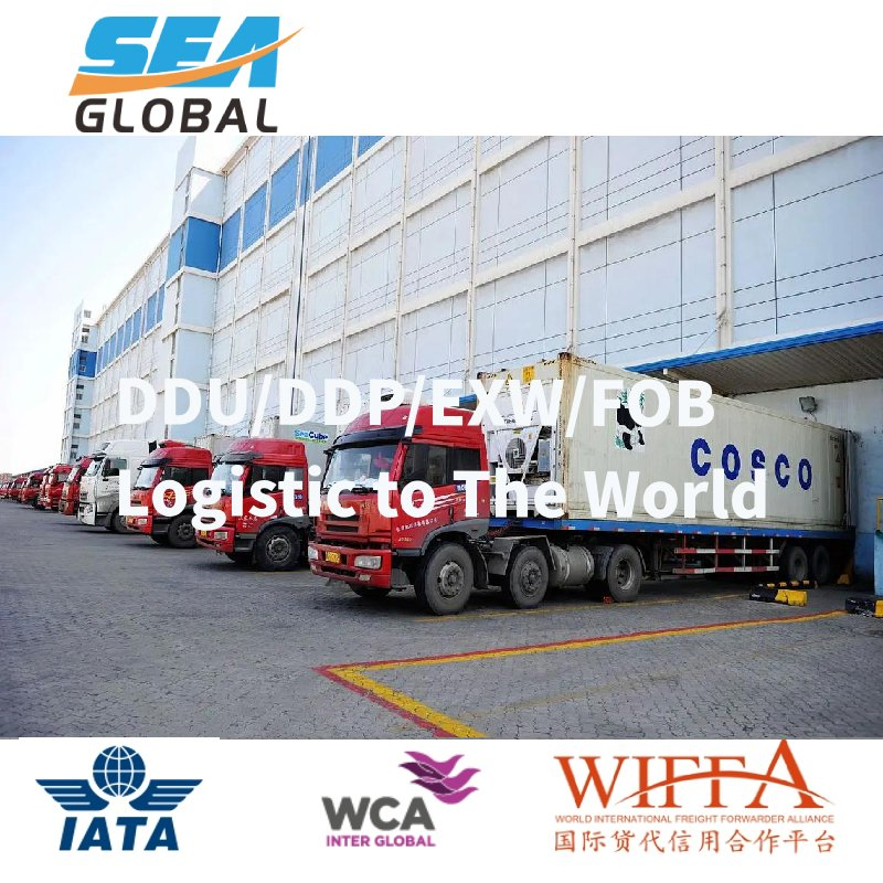 EXW LCL Logistics Forwarder Service to Australia New Zealand UK Ireland USA Canada