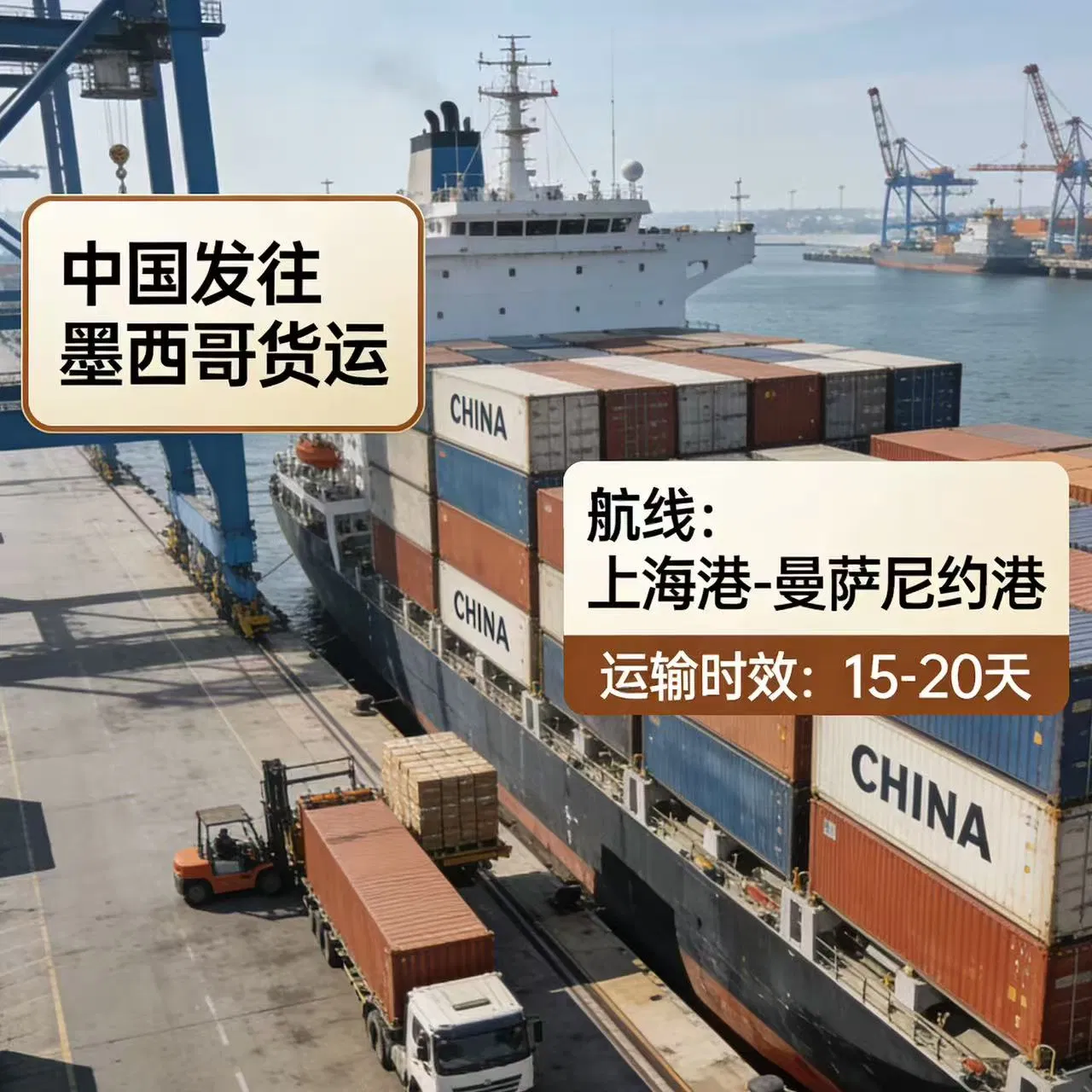 China-Mexico Sea Freight DDP International Freight Forwarding Company
