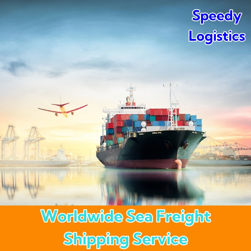 Sea Cargo Shipping Agent Freight Forwarder Shipping to Canada, Germany, Spain, Malaysia, Kuwait, Iraq, Lebanon International Shipping Company Logistics Service