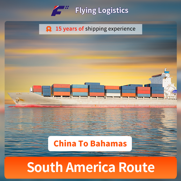 Professional China Shipping Agency Freight Services Express From China to Bahamas Logistic Service