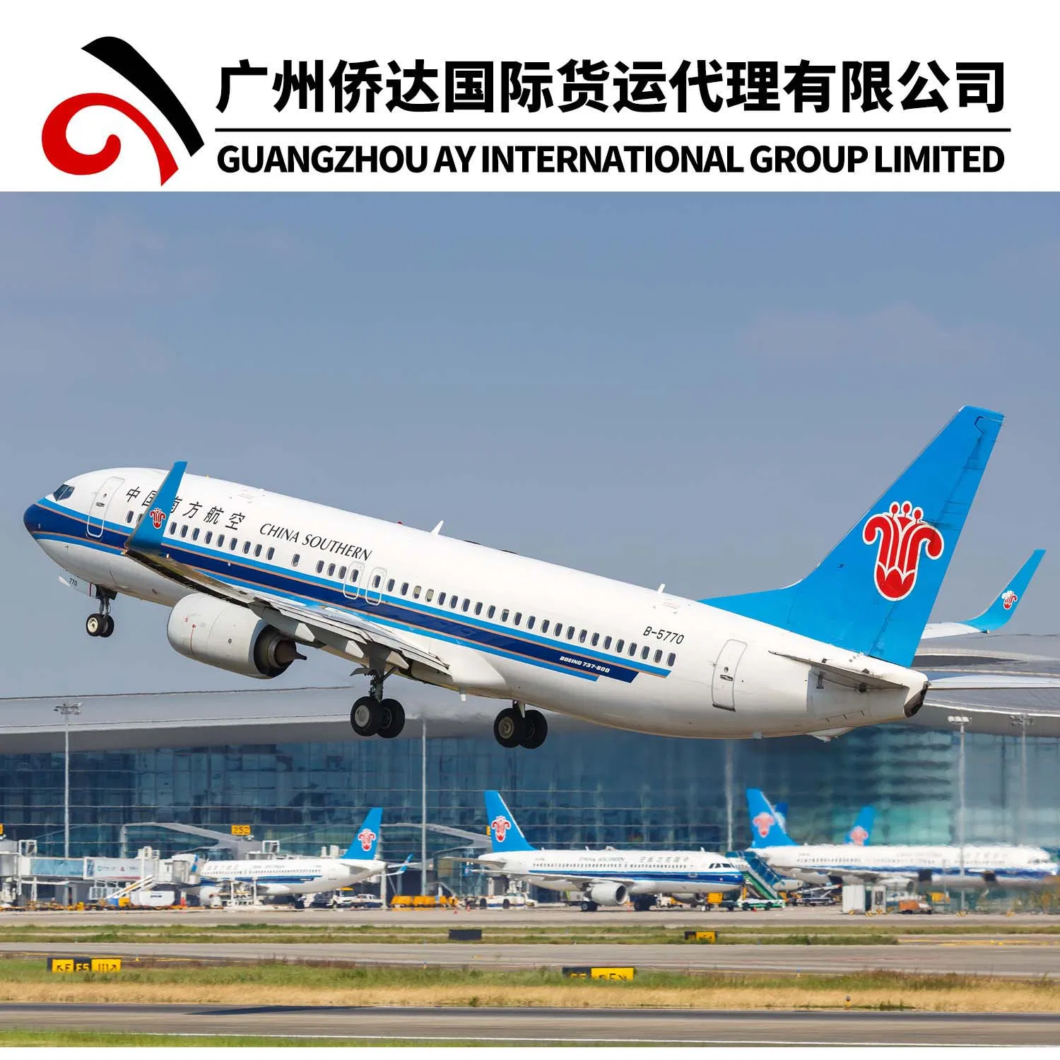 Cheap Sea Freight and Fast Shipping Agent LCL/FCL/Sea DDP Logistics Service From China to America Europe Africa Asia