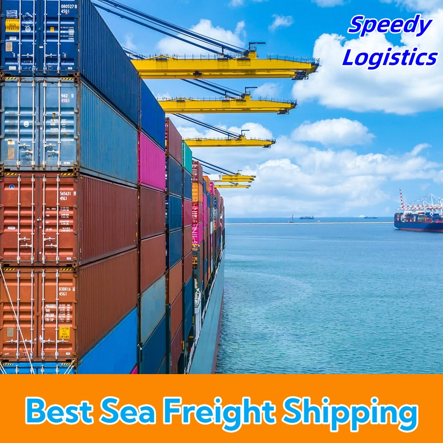 DDP Sea Shipping Agent Freight Forwarder to UK, USA, Germany, Spain, Thailand, Nigeria, Argentina, Vietnam, Netherlands Shipping Company Logistics Service