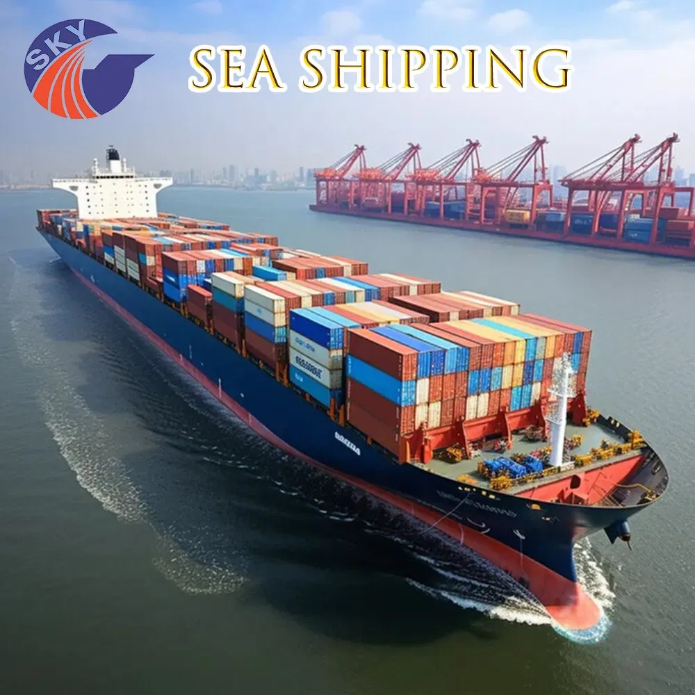 Cheapest Sea Freight Forwarder DDP Logistics Service to Africa Ivory Coast Ocean Shipping