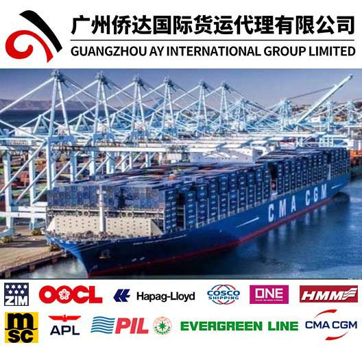 Air Cargo Air Shipping Air Logistics From China to USA Canada Australia UK Europe by Express Delivery