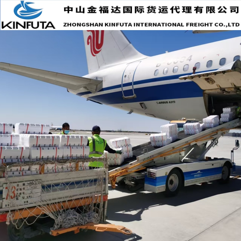 Freight Logistics Transportation Services From China to The United States/Canada/Mexico/Europe/UK/Australia/Africa