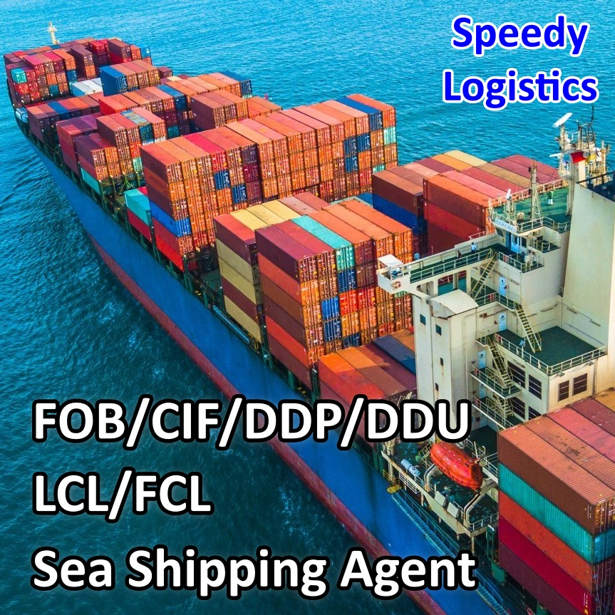 Sea Freight Forwarder to Australia, UK, USA, France, Germany, Qatar, UAE Transportation Shipping Agent Delivery Service