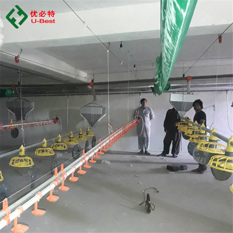 Automatic Feeding and Drinking Line for Poultry Chicken Farm
