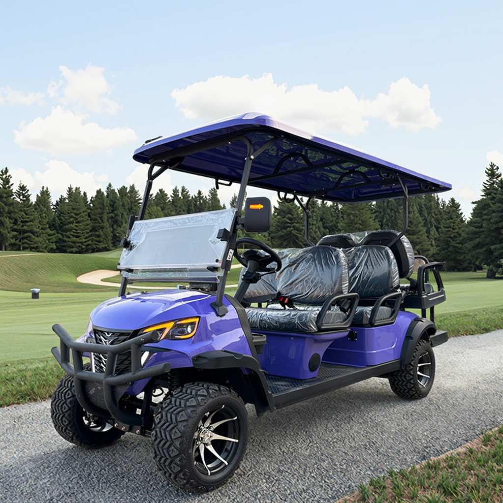 Best Price 6-Seater Electric Lithium Golf Cart 4-Wheel Buggy
