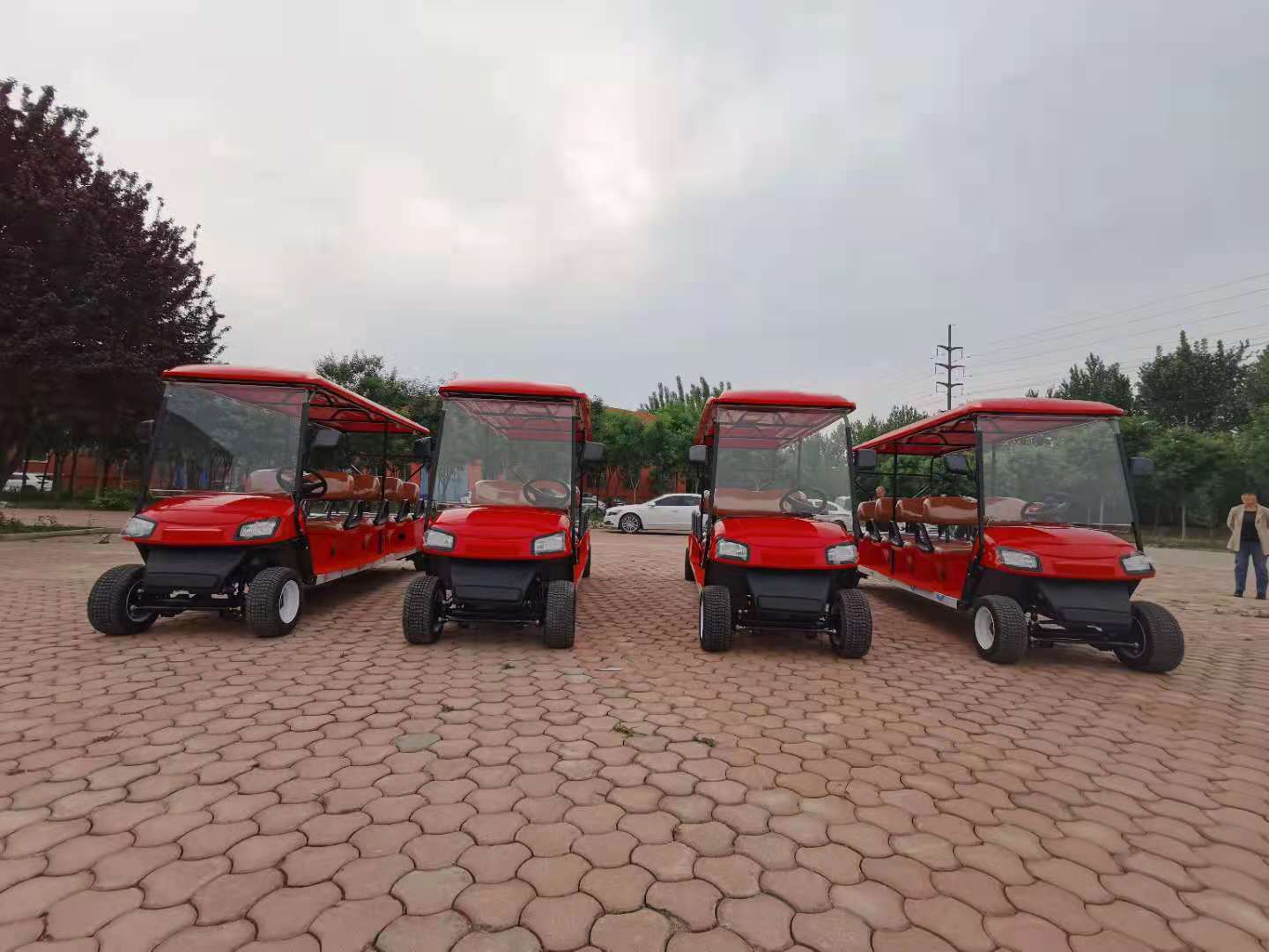 2021 New Design CE Approved Multifunctional 8 Persons Seats Electric Sightseeing Golf Cart for Resort Golf Club Use