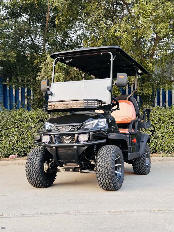Golf Cart View 2