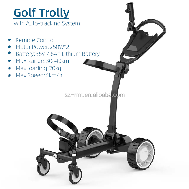 Electric Golf Cart Details