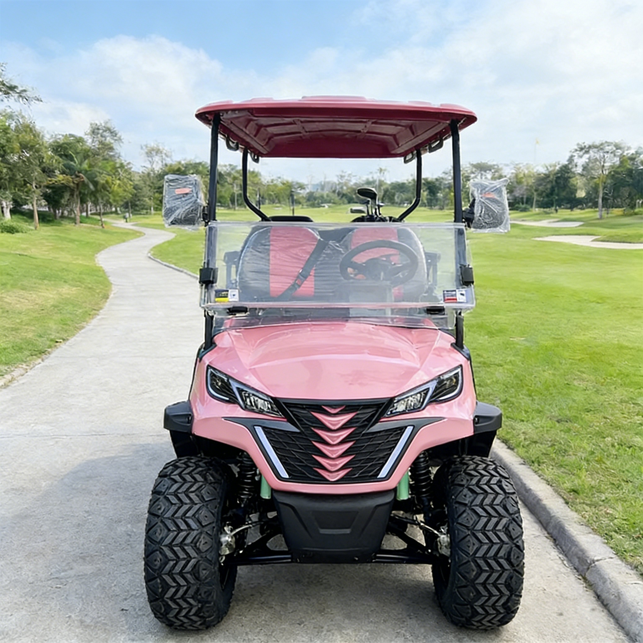 WOLAN Original Factory 4 Seater Utility Golf Cart with Heavy Load Capacity and Storage for Industrial