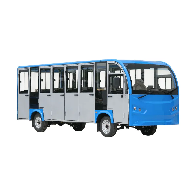 Electric Buggy View 2