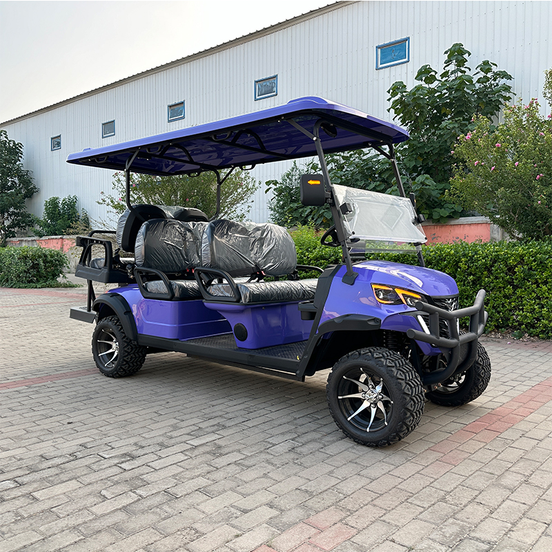 Best Price 6-Seater Electric Lithium Golf Cart 4-Wheel Buggy