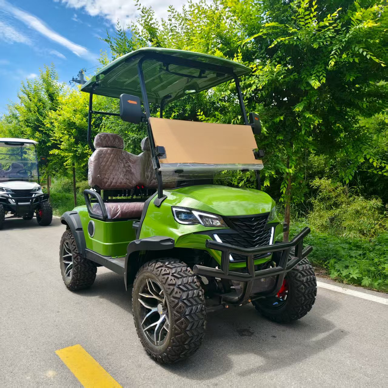 Wholesale Price EPA Certified Gas or Electric Powered Golf Carts/off Road Golf Car with Gasoline Engine with 4 or 6 Seaters