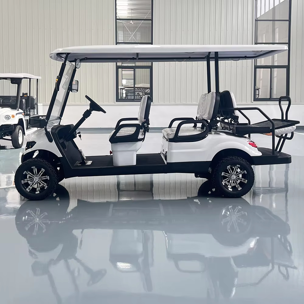2025 Newest Model Smart Golf Cart with GPS Display Screen &amp; Remote Control