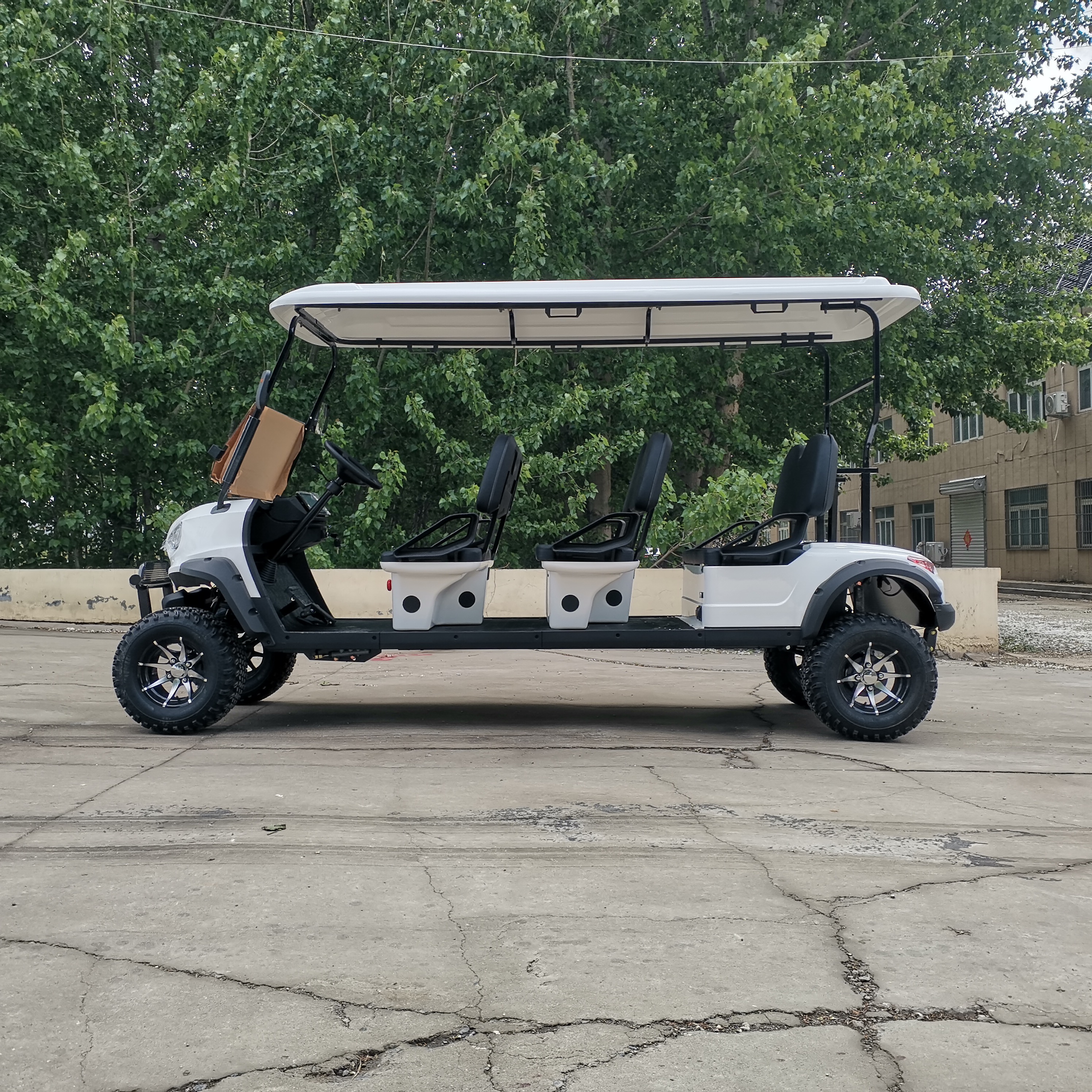 Competitive Price 6 Seater Golf Cart with 48V Utility Golf Cart for Tours