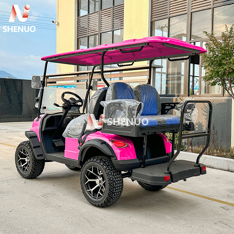 Golf Cart Gasoline 4 Stroke Engine Multi-Power Course Vehicles Resorts Mobility OEM Solution CE/ECE Certified 90km Range 30km/h