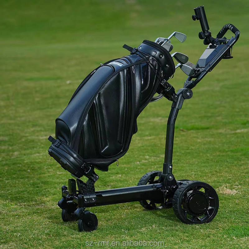 Electric Golf Cart Details