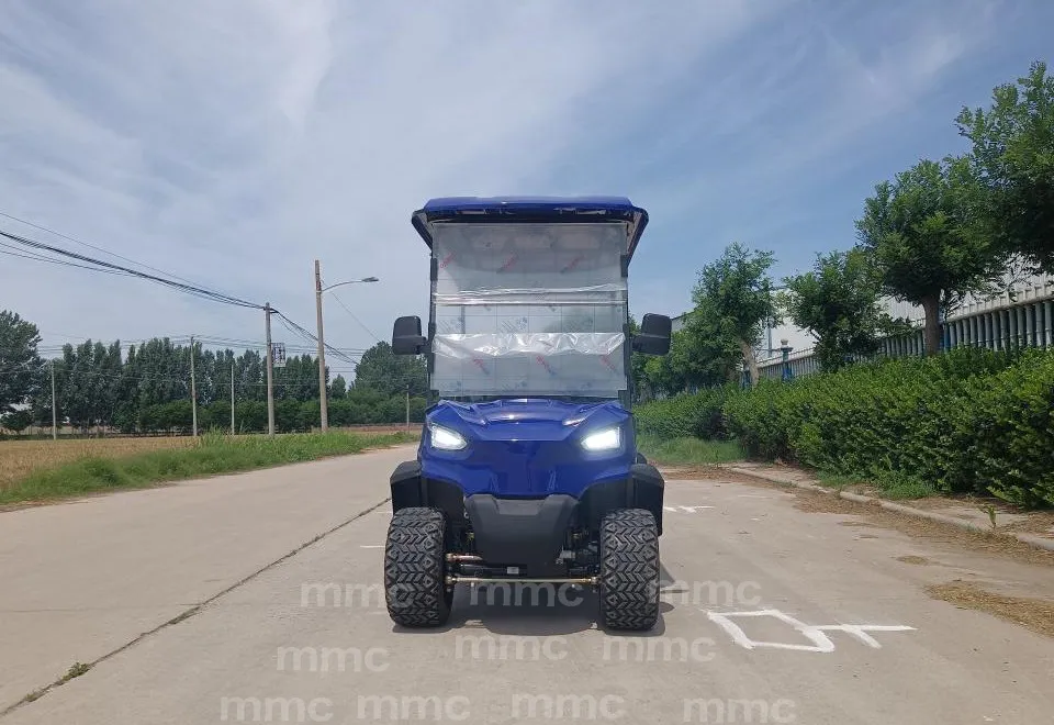 Golf Cart Photo 2