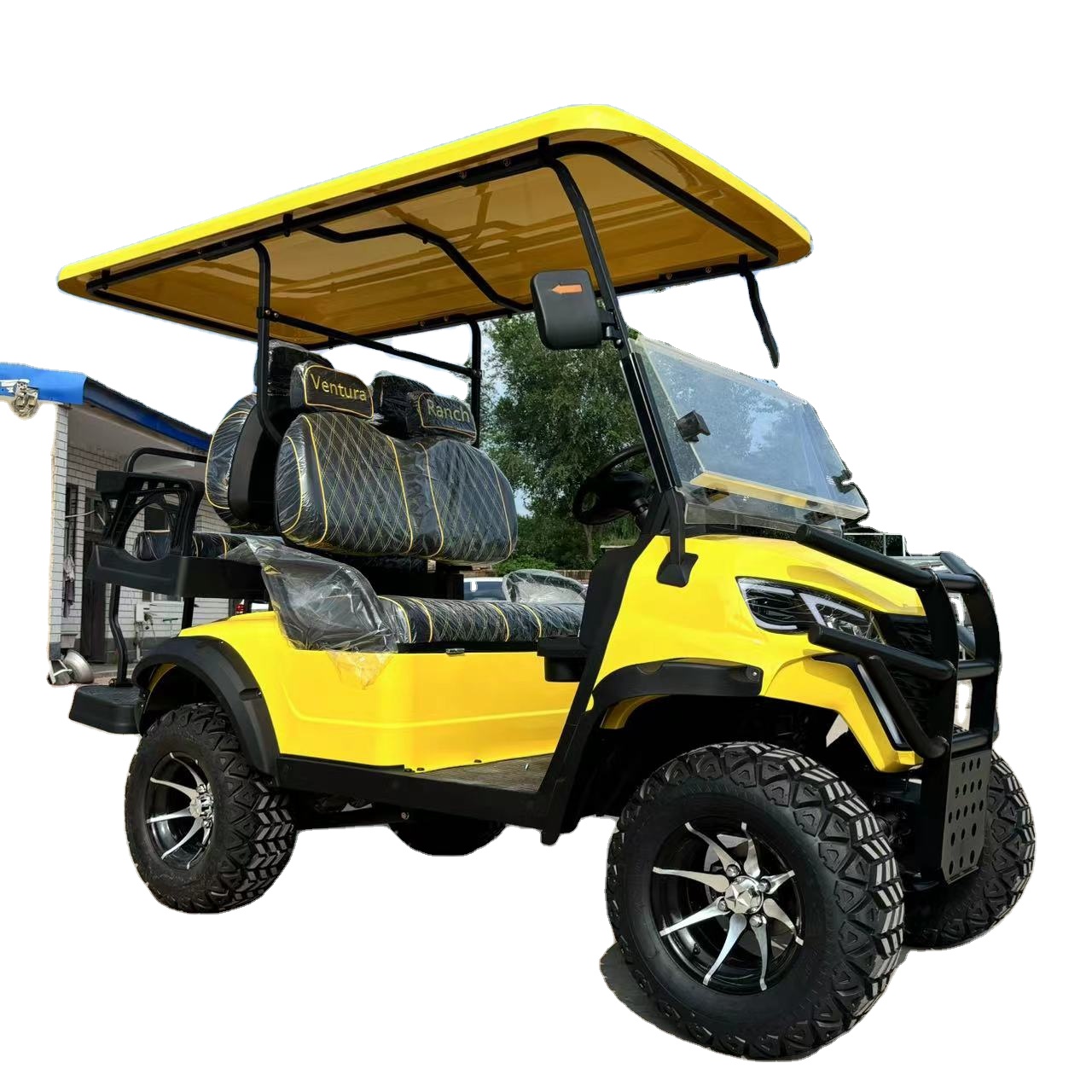 Electric Golf Cart View 1