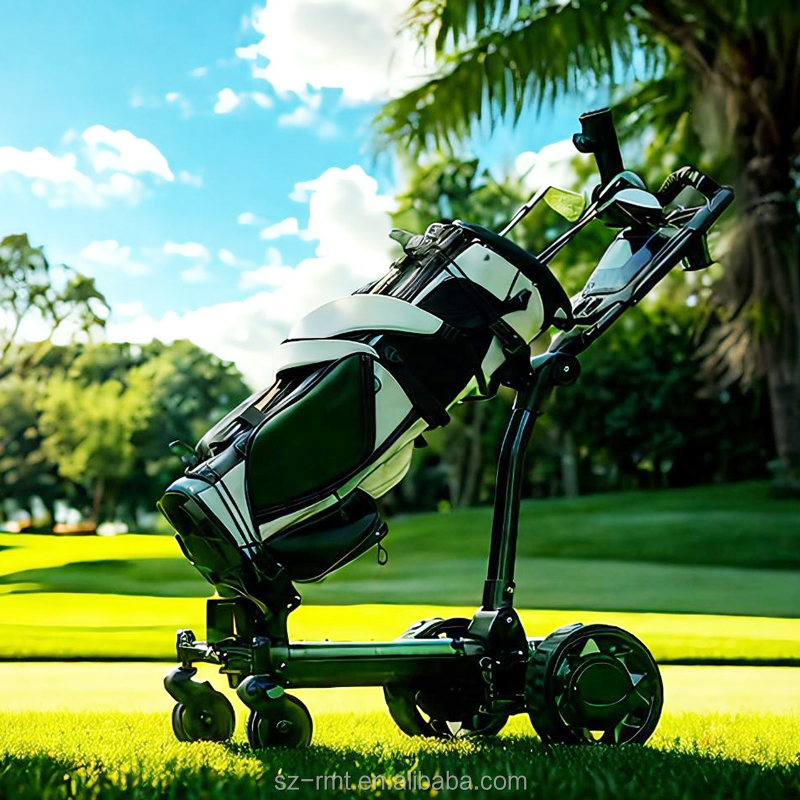 Electric Golf Cart Details