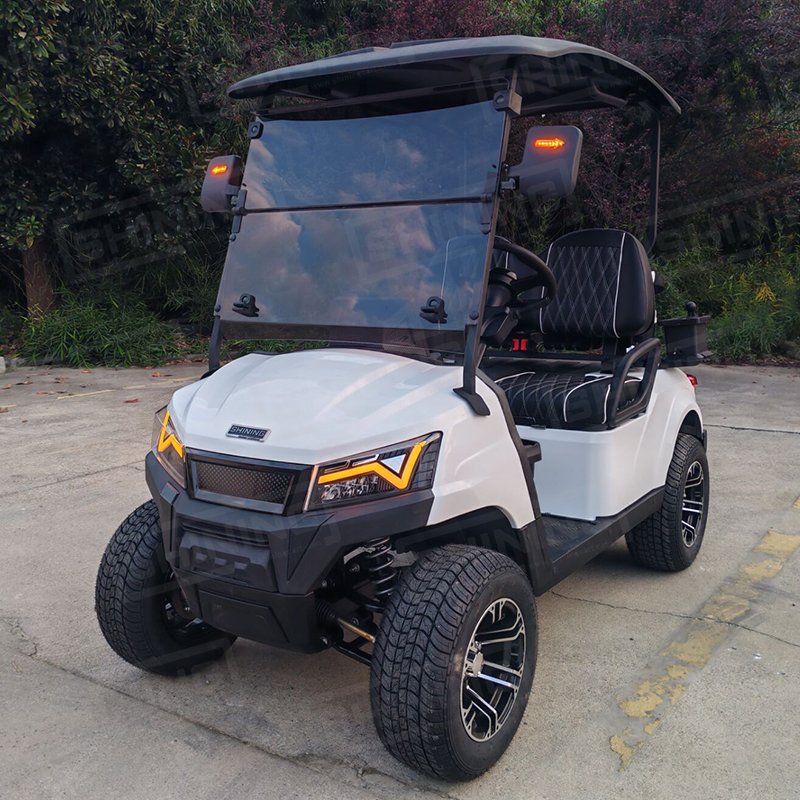 Shininglsv Electric 2-Seater Golf Carts Electric Lithium Electric Golf Cart for Sale