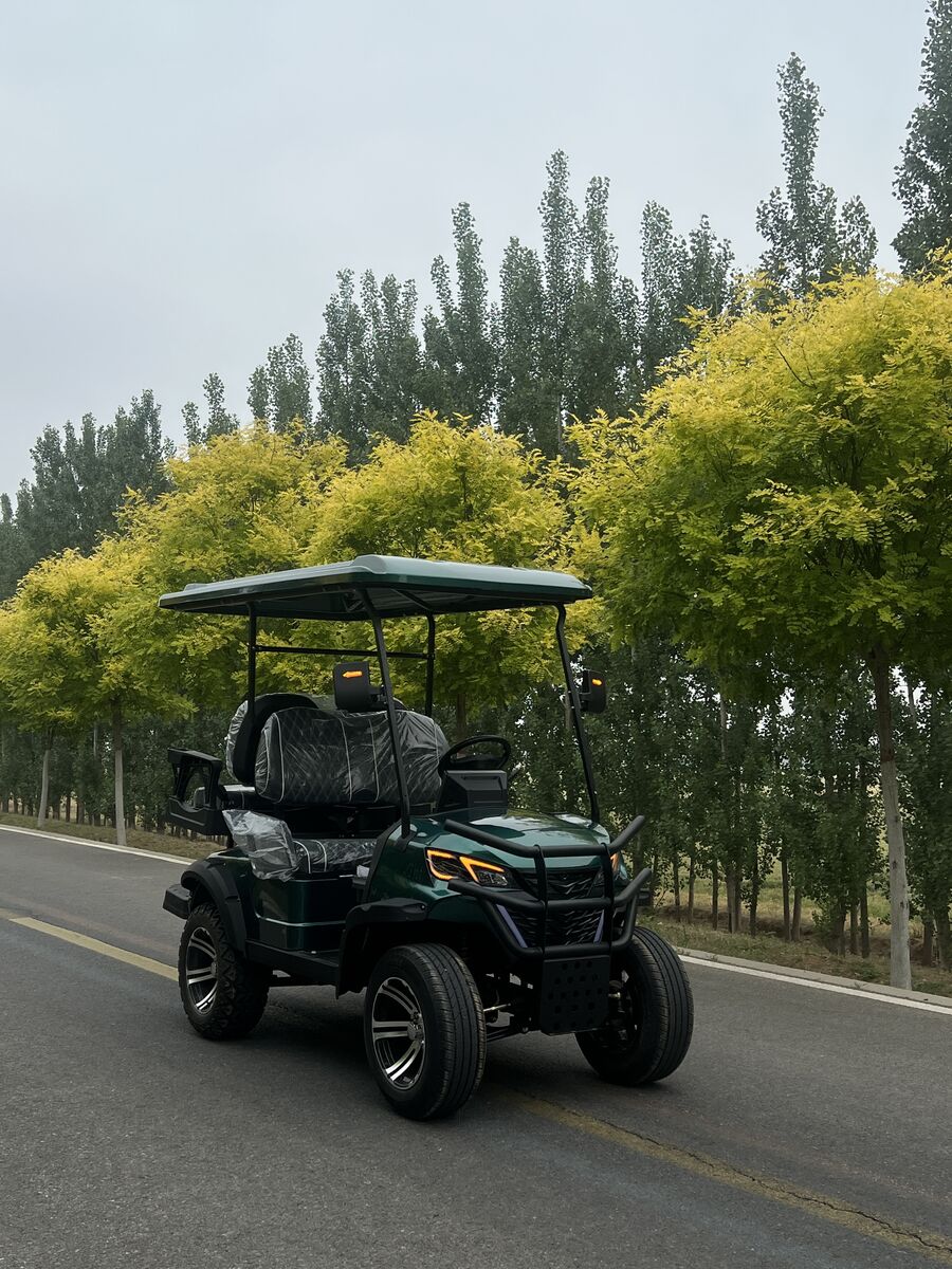 WELIFTRICH Cheap 72V Lithium Battery Fully Waterproof 4 Seater Folding Electric Golf Carts with 90km Range