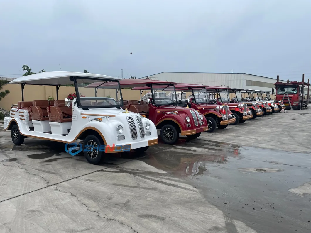 Electric Vintage Classic Sightseeing Car Details