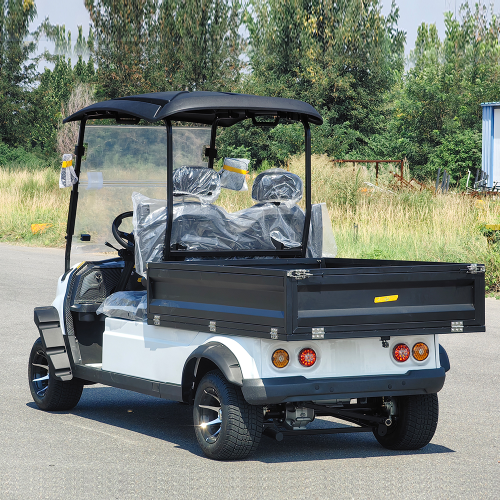2-Seater Electric Utility Vehicle Golf Cart with Cargo Bed or Farm Hotel Airport Urban Cargo Delivery