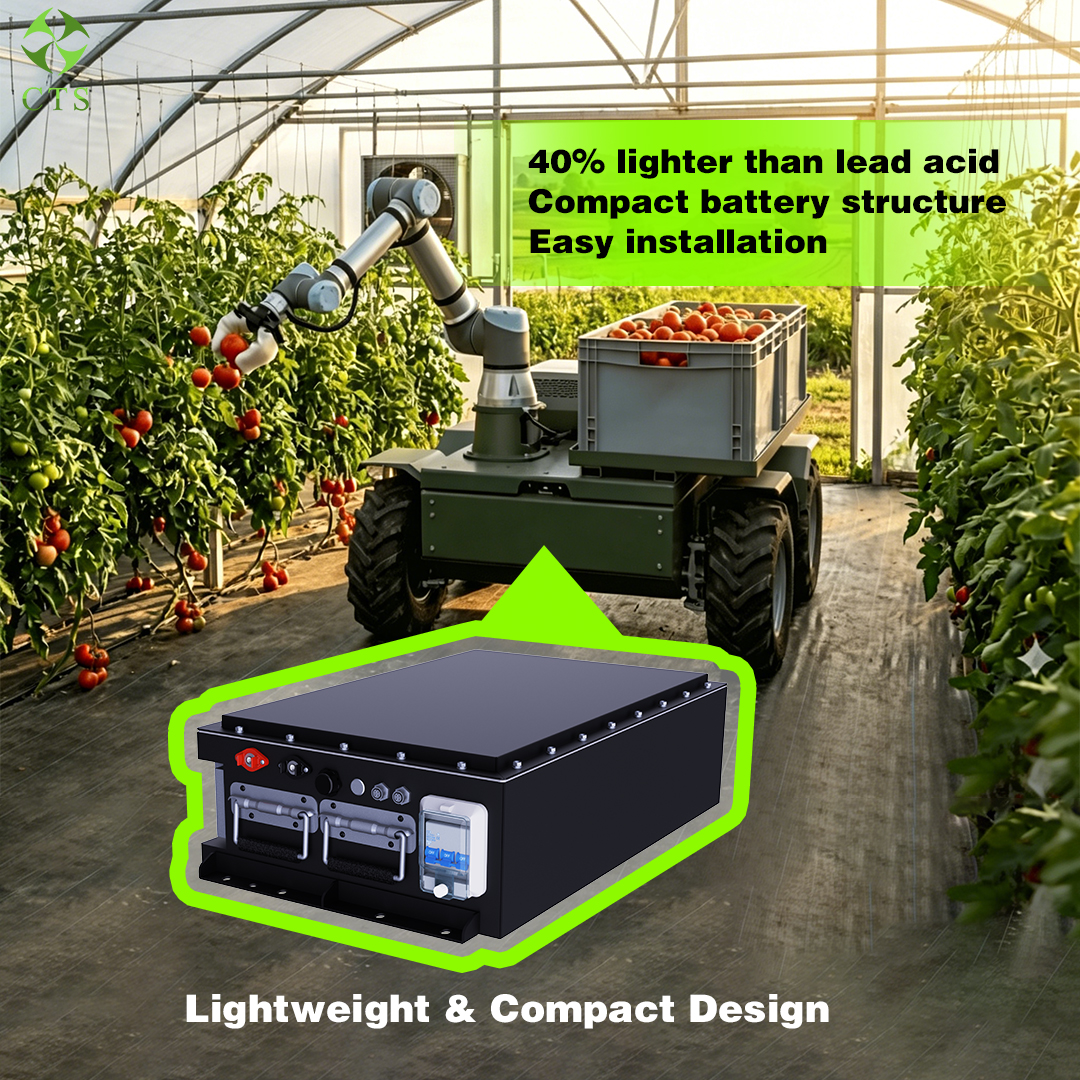 48V 72V 96V Batteries Lifepo4 Golf Cart Lithium Ion Battery Pack for Electric Golf Cart Club Cart Forklift RV Boat